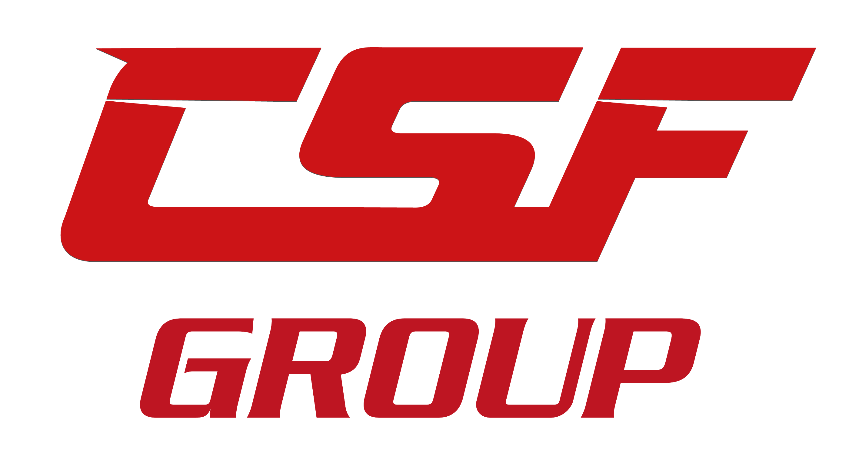 CSF Group website